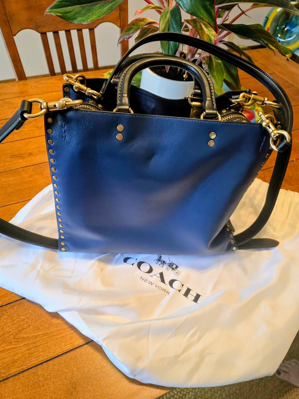 Rogue Bag In Colorblock With Rivets - Picture 3 of 16